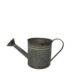 13" Rustic Tin Watering Can with Handle and Liner