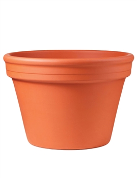 Azalea Terracotta Pot (Click for Sizes and Pricing)