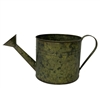 Large Verdigris Watering Can with Handle and Liner