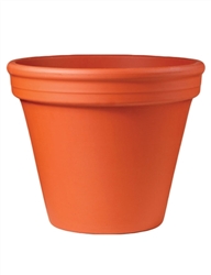 Standard Terracotta Pot