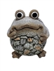 Toad Flowerpot