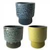 5.75" Havana Planter Footed w/ Drain Hole and Liner, 3 Assorted, 6/case, holds a 4.5" pot